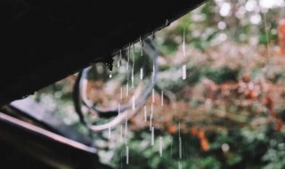 細(xì)雨濕衣看不見閑花落地聽無聲是什么意思 細(xì)雨濕衣看不見閑花落地聽無聲原文