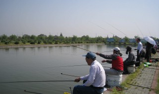 冬天怎樣在河里找窩好釣魚 冬天釣魚怎么在河里找窩