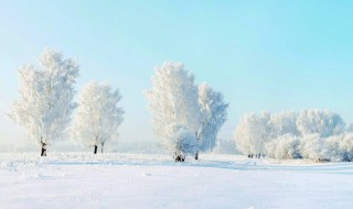 关于下雪的文案 和雪有关的句子精选