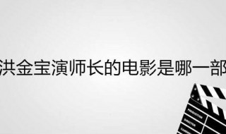 洪金宝演师长的电影是哪一部 洪金宝演的师长是哪部电影的角色