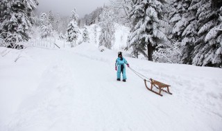 写雪景的禅诗 写雪景的禅诗有哪些