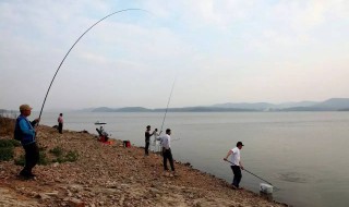 雨天釣小魚技巧（釣魚技巧大全怎樣在下雨天釣魚）