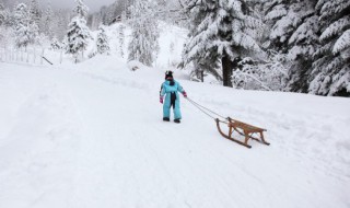 初学者滑雪技巧有哪些（如何掌握滑雪技巧）