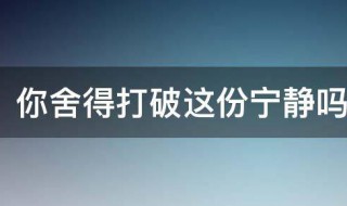 你舍得打破这份宁静吗是什么意思 打破这份宁静,下一句