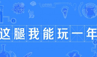 这腿我能玩一年是什么意思 这个腿我可以玩一年是什么意思