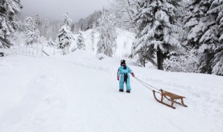 形容家乡下雪景的句子（赞美家乡雪景的句子超短）