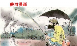 酸雨主要是由什么气体造成的 造成酸雨的气体介绍