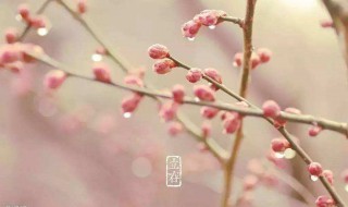 节气立春什么意思 节气立春的含义是什么呢？