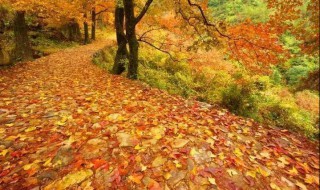 天台南屏乡南黄古道介绍（天台南黄古道来历）