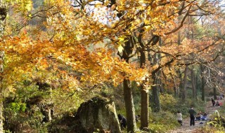 南黄古道徒步坡道多吗（黄南古道自驾攻略）