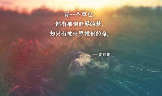 至理名言心靈雞湯 至理名言名句里有雞湯的名句