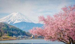 日本做客礼仪是什么 日本会客礼仪