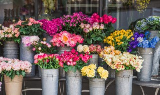 鮮花語錄經(jīng)典簡短 關于花的唯美句子