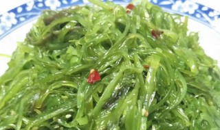 海裙菜怎么炖着吃（海裙菜怎么炖着吃好吃）