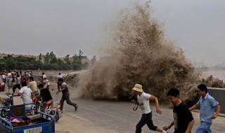 鬼王潮是什么意思 鬼王潮产生原因介绍