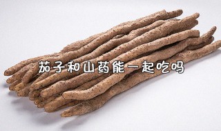 茄子和山药能一起吃吗 你知道答案了吗