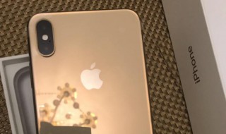 iphonexsmax开机一直显示白苹果 苹果XSMax显示苹果标志进不去怎么办