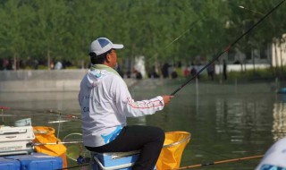 冬季黑坑糗魚技巧 糗魚餌料怎么選擇