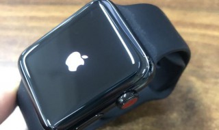 applewatch5微信通讯录备份在哪 applewatch怎么下载微信