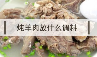 羊肉汤放什么调料 家常羊肉汤放什么调料