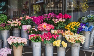 迎春花市真热闹写一段话（迎春花市真热闹写一段话一年级）