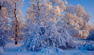 描写冬天风和雪的句子有哪些 形容冬天的风和雪