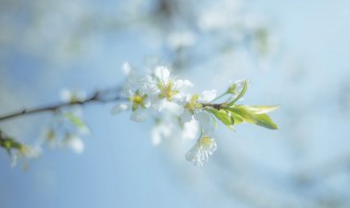 形容人生動蕩不定的句子 形容人生動蕩的成語