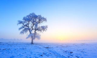 关于雪的唯美短句（关于雪的唯美短句子）