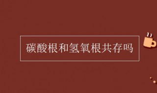 碳酸根和氫氧根共存嗎 碳酸根與氫氧根共存嗎?