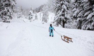 微信关于雪的个性签名 雪是冰的泪的微信签名