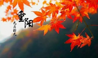 重阳节的简介 重阳节的介绍