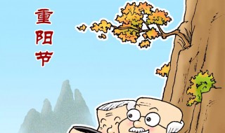 重陽節(jié)年齡限制 重陽節(jié)年齡范圍