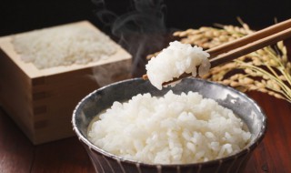 油饼热量高还是米饭热量高（一个油饼的热量相当于米饭）