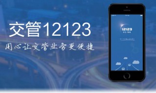 科四考完12123显示什么（科四考完了12123怎么显示）