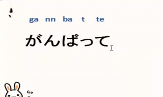 零基礎(chǔ)學(xué)習(xí)日語步驟，如何學(xué)習(xí)日語（零基礎(chǔ)學(xué)日語的步驟）