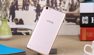 vivoz5不显示图标名称（vivo不显示图标怎么回事）