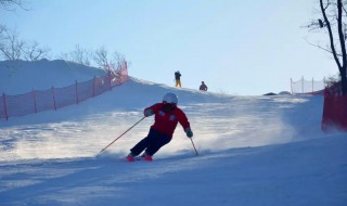 滑双雪板技巧（双板滑雪有哪些技巧）