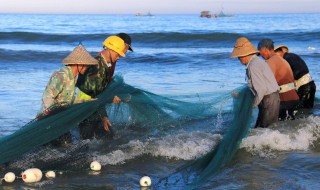 水下找魚技巧 水下摸魚技巧