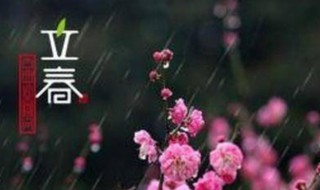 立春下雨有什么说法（立春下雨有什么说法么）