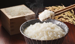 光波微波爐蒸米飯的方法（用微波爐蒸米飯）