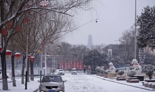 车轱辘被冰冻住了怎么解决 车轱辘冻住怎么办