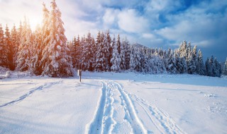 梦见雪地是什么征兆 梦见下雪是什么征兆