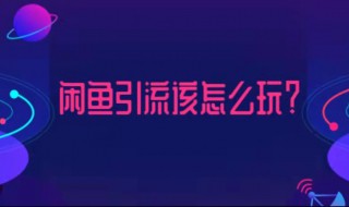 闲鱼怎么推广引流（闲鱼怎么推广引流微信）