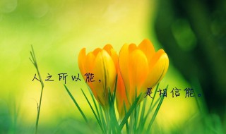 堅(jiān)持哲理美文（堅(jiān)持哲理美文詩(shī)句）