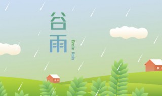 谷雨应该这样养生（谷雨应该怎么养生）