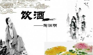 饮酒原文（饮酒原文及翻译注释）