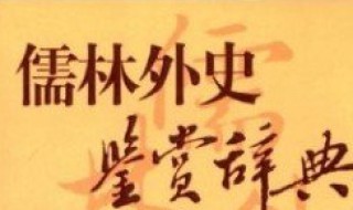 儒林外史读书赏析36回40回（儒林外史36到40回读书笔记）