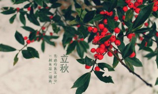 立秋的習(xí)俗（關(guān)于立秋的風(fēng)俗）