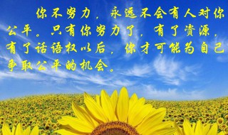 關(guān)于努力的人的句子（形容努力的人的短句子）