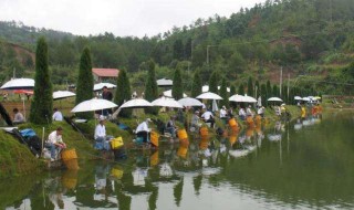 立夏釣鯽魚調(diào)漂技巧（立夏釣鯽魚調(diào)漂技巧和方法）